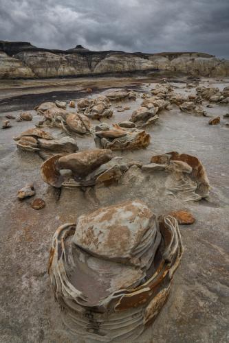 Bisti/De-Na-Zin Wilderness Area, New Mexico